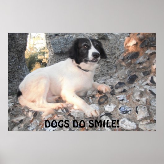 Poster Sprollie op bezoek bij Castle Smiling (Voorkant)