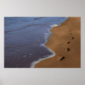 poster stappen (Voorkant)