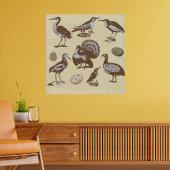 Poster  Stijlvogels