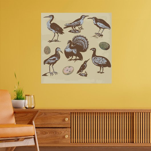 Poster  Stijlvogels