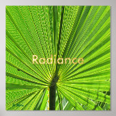 Poster - stralende palmschijfjes (Voorkant)