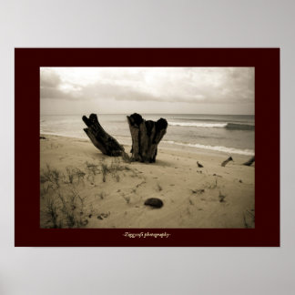 poster strandscène