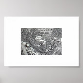 Poster Stripe cyclus Fusie (Voorkant)