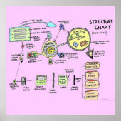 Poster structuurgrafiek (verbeterd) (Voorkant)