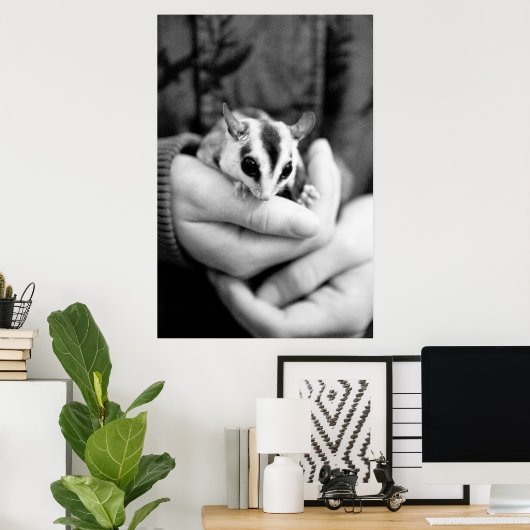 Poster suikerglider (Thuiskantoor)