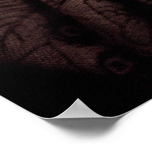 Poster suikerglider (Hoek)