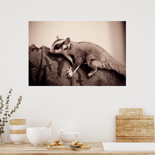 Poster suikerglider (Keuken)