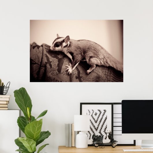 Poster suikerglider (Thuiskantoor)
