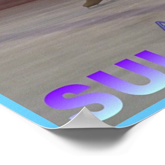 poster sullivan schaatsen (Hoek)