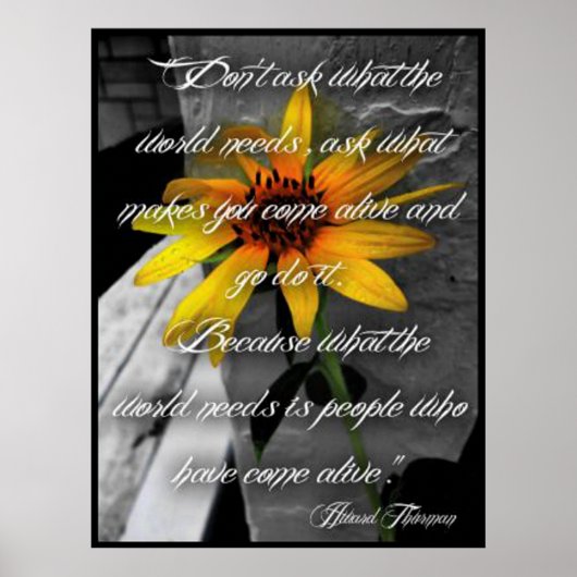 Poster, Sunflower Howard Thurman Quote Poster (Voorkant)