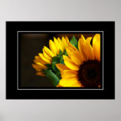 Poster Sunflowers (Voorkant)