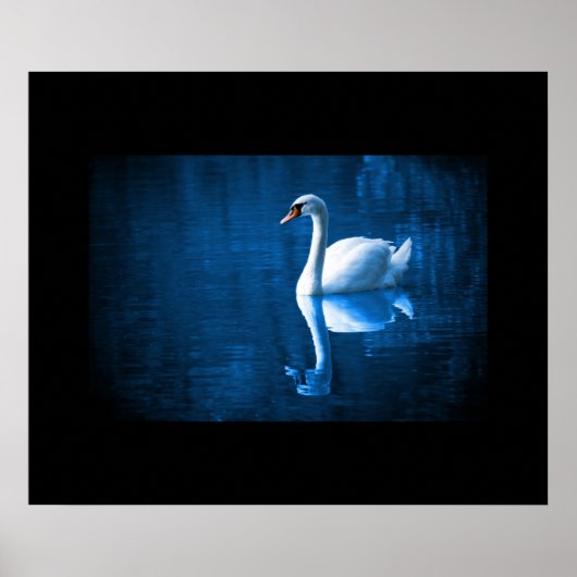 Poster Swan (Voorkant)