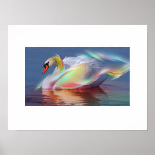 Poster Swan