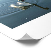 Poster Swan (Hoek)