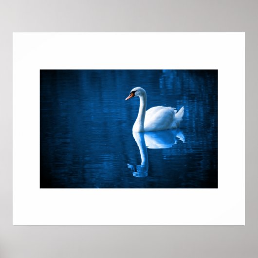 Poster Swan (Voorkant)