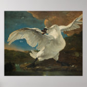 Poster Swan Asselijn (Voorkant)