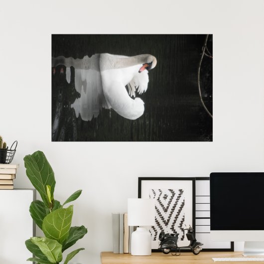 Poster Swan Swimming (Thuiskantoor)