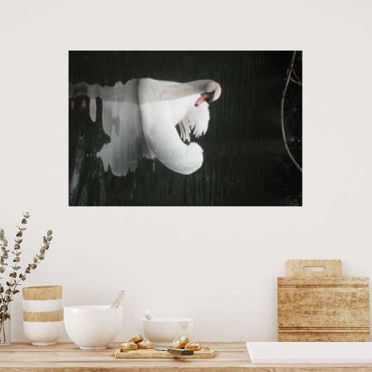 Poster Swan Swimming (Keuken)