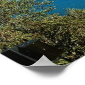 Poster Sydney Harbour (Hoek)