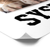 POSTER SYSTEEMstoring (Hoek)