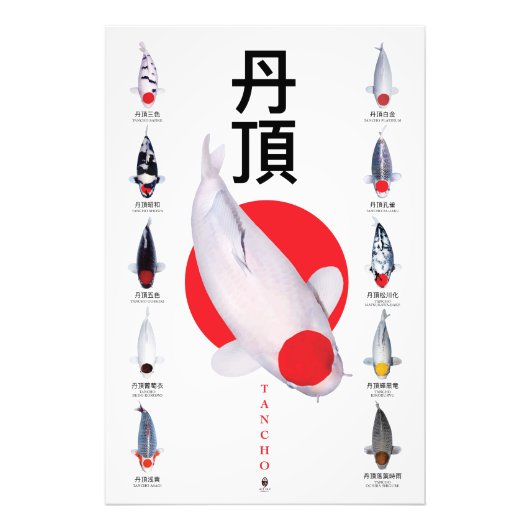 Poster Tancho Koi Collectie – 10 variëteiten (Voorkant)