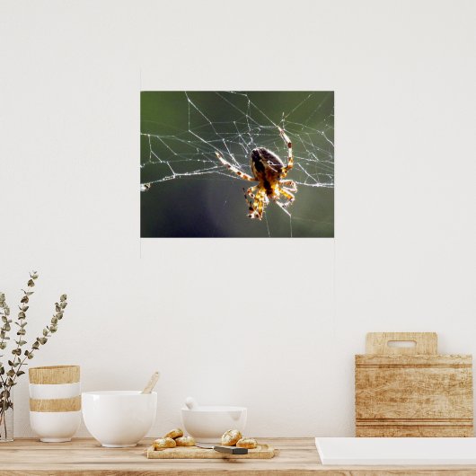 Poster - Tangled Web (Keuken)