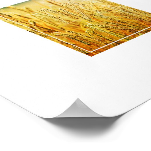 Poster-tarwe Poster (Hoek)