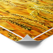 Poster-tarwe Poster (Hoek)