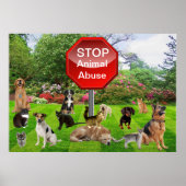 Poster tegen dierenmishandeling stoppen (Voorkant)