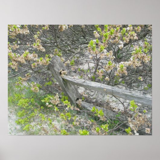 Poster tegen Dunes IBSP (Voorkant)