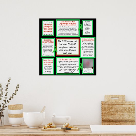 Poster ter bestrijding van de ziekte van Lyme (Keuken)