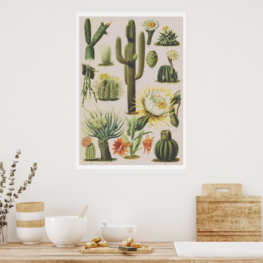  Poster ter illustratie van botanische cactus (Keuken)