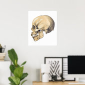  Poster ter illustratie van de schedel (Thuiskantoor)