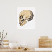  Poster ter illustratie van de schedel (Keuken)