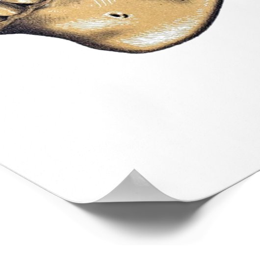  Poster ter illustratie van de schedel (Hoek)