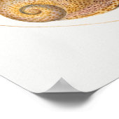  Poster ter illustratie van het mariene leven (Hoek)