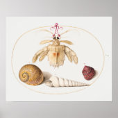  Poster ter illustratie van het mariene leven (Voorkant)