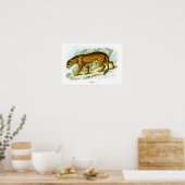  Poster ter illustratie van jaguar-dieren (Keuken)