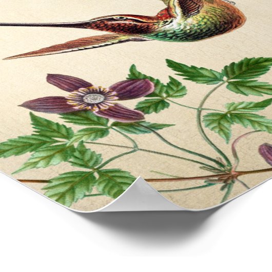  Poster ter illustratie van vogel (Hoek)