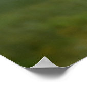 Poster - Tern in vlucht (Hoek)