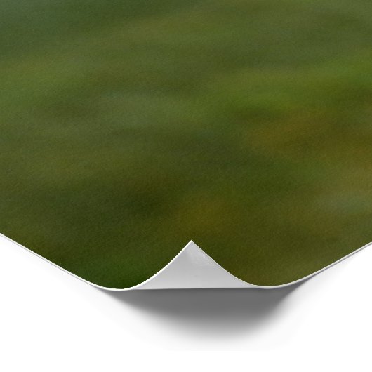 Poster - Tern in vlucht (Hoek)