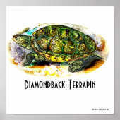 Poster Texas-Diamondback-Terrapin uit Junglewalk (Voorkant)