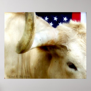 Poster Texas Proud