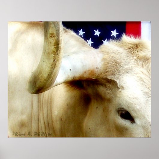 Poster Texas Proud (Voorkant)