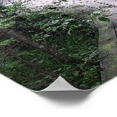 poster "The Boardwalk" (Hoek)