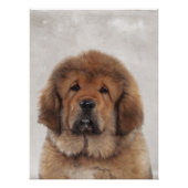 Poster Tibetan Mastiff (Voorkant)