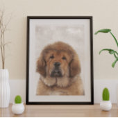 Poster Tibetan Mastiff