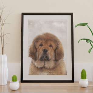 Poster Tibetan Mastiff