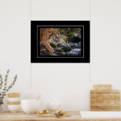 Poster Tiger (Keuken)