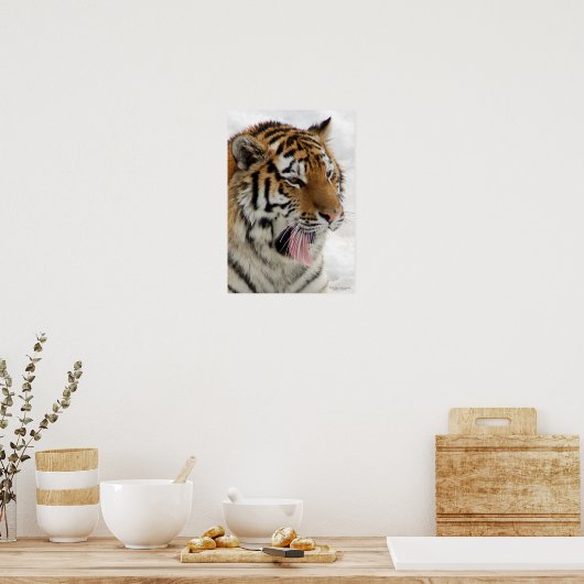 Poster Tiger (Keuken)